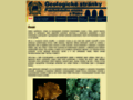 NĂˇhled webu Prácheňské muzeum v Písku - Geologické stránky