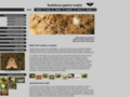 NĂˇhled webu Koláčkova galerie motýlů