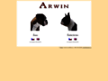 NĂˇhled webu Arwin