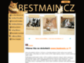 NĂˇhled webu BESTMAIN CZ