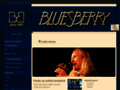 NĂˇhled webu Bluesberry