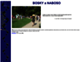 NĂˇhled webu Bosky a naboso
