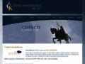 NĂˇhled webu Česká Konference - 2009-2019