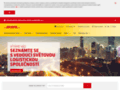 NĂˇhled webu DHL Česká republika