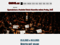 NĂˇhled webu Gymnázium a Hudební škola hl. m. Prahy, ZUŠ