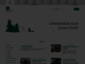NĂˇhled webu Gymnázium Zlín, Lesní čtvrť