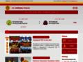 NĂˇhled webu HC Hvězda Praha