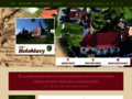 NĂˇhled webu Holohlavy