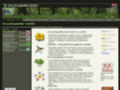 NĂˇhled webu Encyklopedie rostlin
