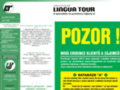 NĂˇhled webu Lingua tour
