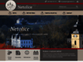 NĂˇhled webu Netolice