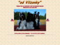 NĂˇhled webu Od Vilzonky