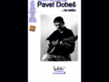 NĂˇhled webu Dobeš, Pavel