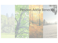 NĂˇhled webu Penzion Adela