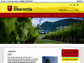 NĂˇhled webu Strachotín