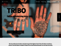 NĂˇhled webu Tribo
