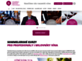 NĂˇhled webu Vinařský Institut České republiky
