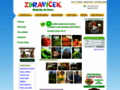 NĂˇhled webu Zdravíček