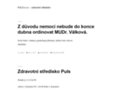 NĂˇhled webu Puls s.r.o.