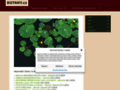 NĂˇhled webu Botany.cz