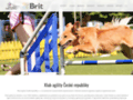 NĂˇhled webu Klub agility České republiky