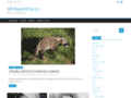 NĂˇhled webu Afrikaonline