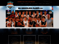 NĂˇhled webu BA Grizzlies