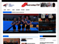 NĂˇhled webu Česká gymnastická federace