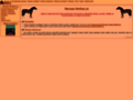 NĂˇhled webu Horses-Online.cz