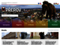 NĂˇhled webu Přerov