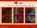 NĂˇhled webu VIDA