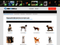 NĂˇhled webu Webfordog.cz